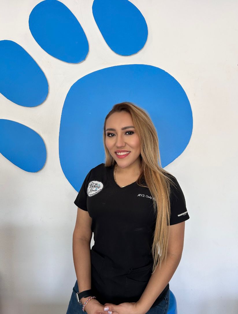 MVZ. C.E. Cindy Marquez Cadena